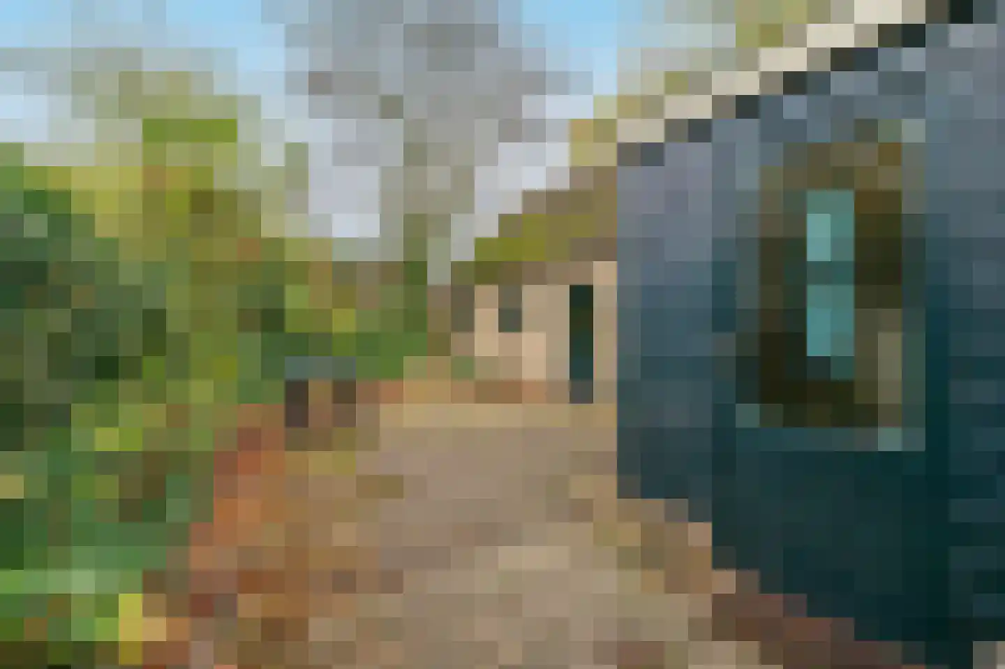 Irenelaan 11 Putten thumbnail 27