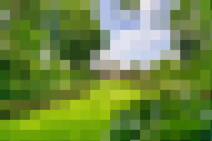 Irenelaan 3 Berghem thumbnail 21