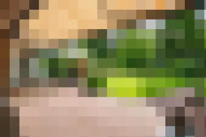 Irenelaan 3 Berghem thumbnail 24