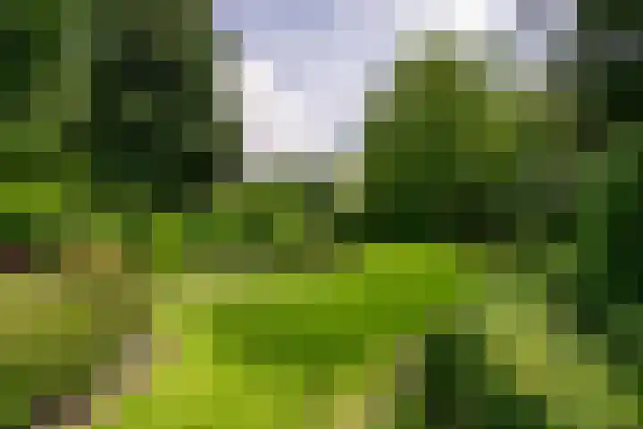 Irenelaan 3 Berghem thumbnail 25