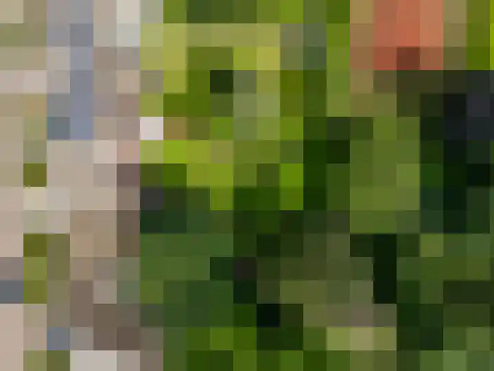 Irenelaan 3 Berghem thumbnail 26