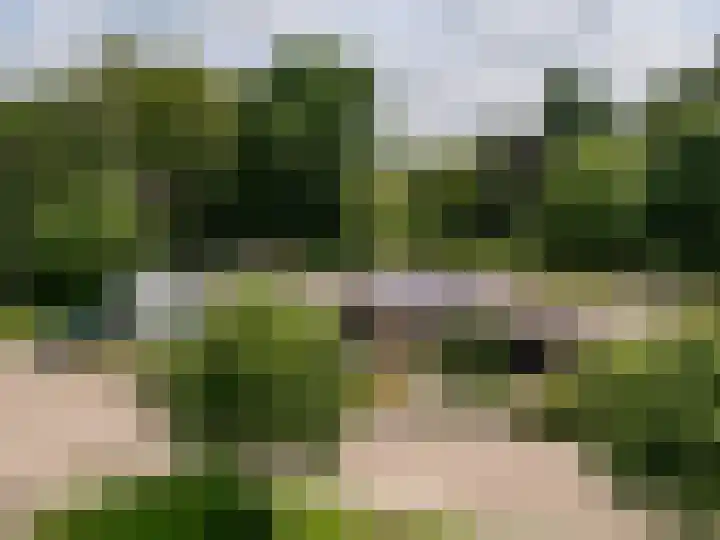 Irenelaan 3 Berghem thumbnail 28