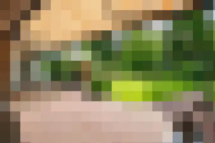 Irenelaan 3 Berghem thumbnail 4