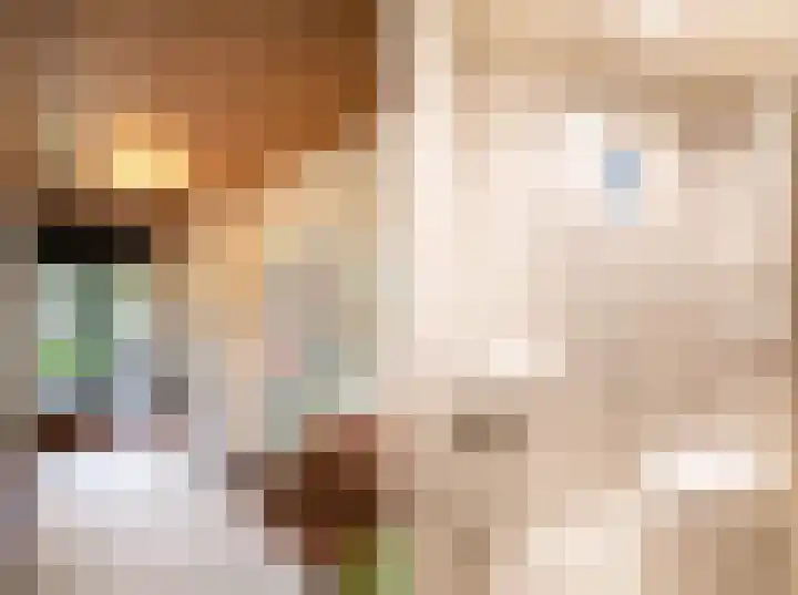 Irenelaan 3 Berghem thumbnail 6