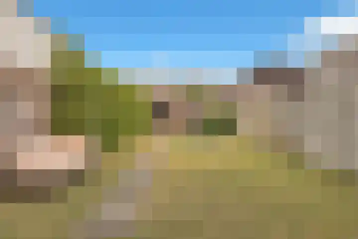 Irenelaan 31 Bladel thumbnail 30