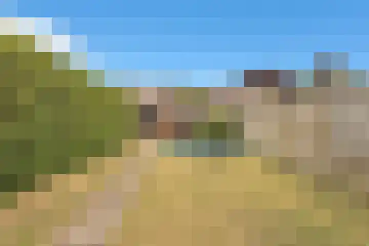 Irenelaan 31 Bladel thumbnail 31