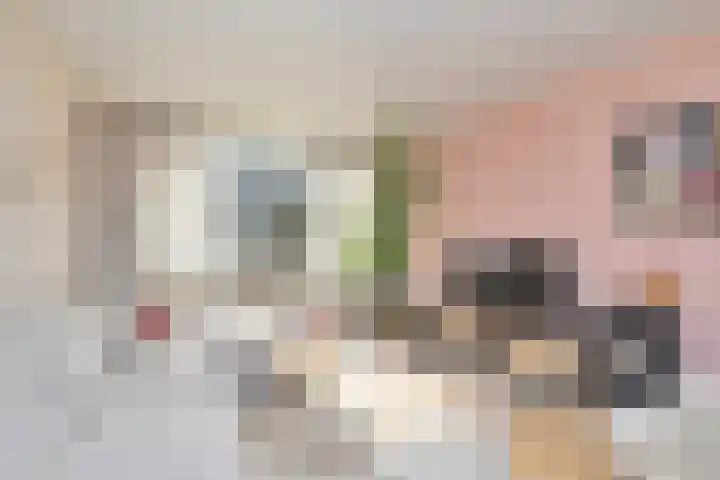 Irenelaan 31 Bladel thumbnail 6