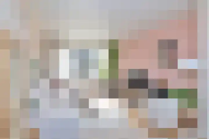 Irenelaan 31 Bladel thumbnail 7