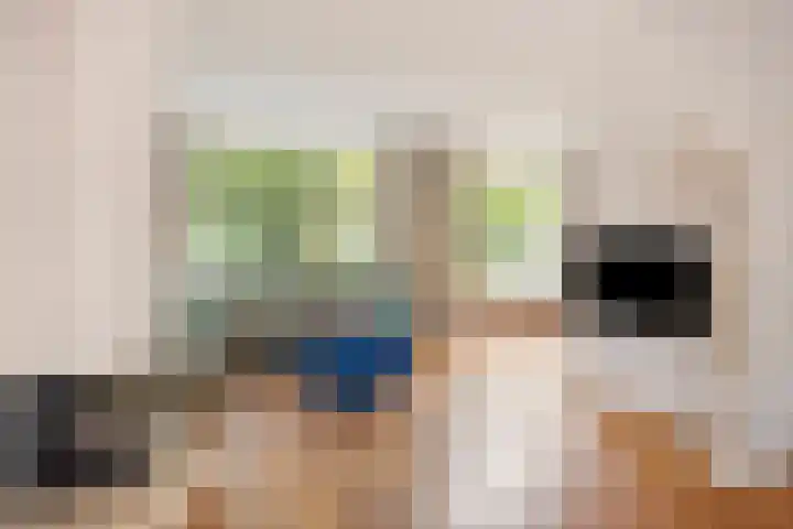 Irenelaan 9 Oss thumbnail 15