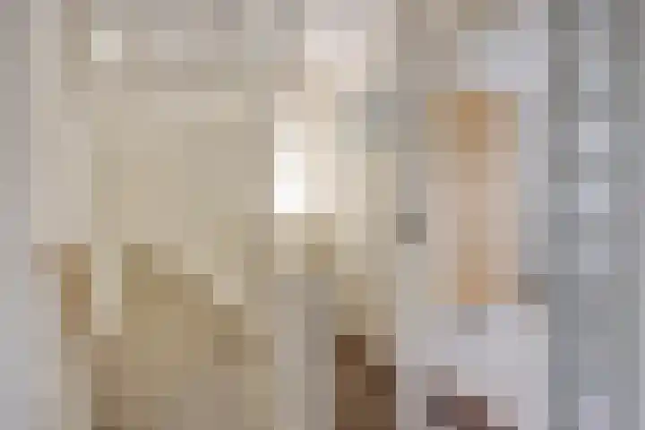 Irenelaan 9 Oss thumbnail 20