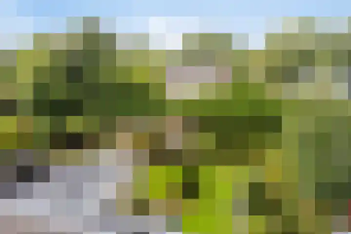 Irenelaan 9 Oss thumbnail 35