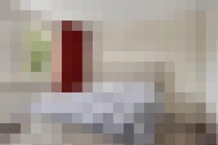 Irenelaan 9 Oss thumbnail 4