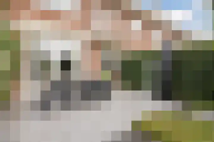 Irenestraat 24 Breda thumbnail 46