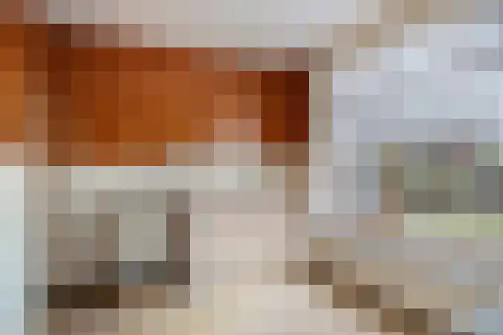 Irenestraat 29 Haps thumbnail 14