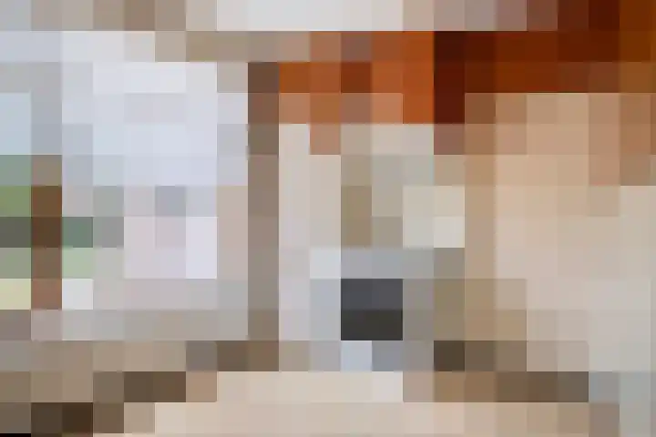 Irenestraat 29 Haps thumbnail 15