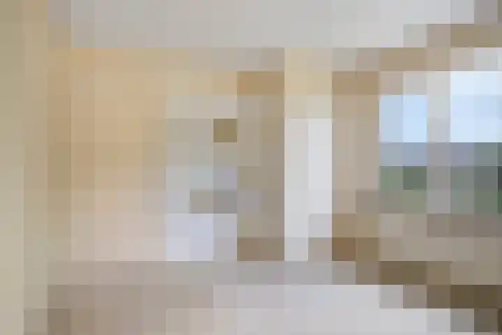 Irenestraat 29 Haps thumbnail 18