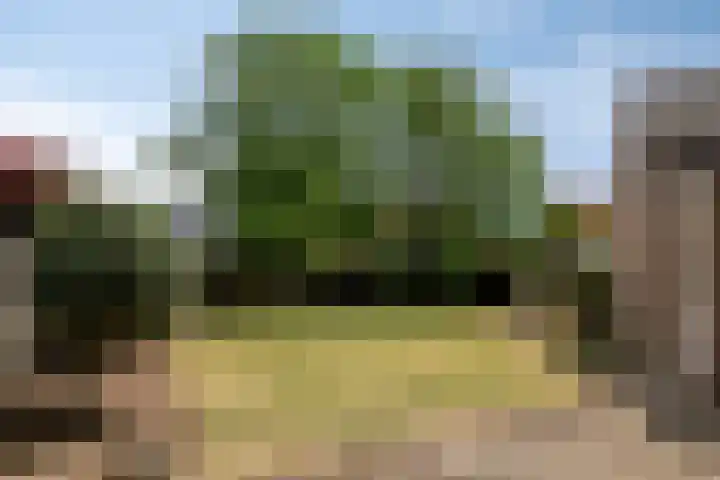 Irenestraat 29 Haps thumbnail 27
