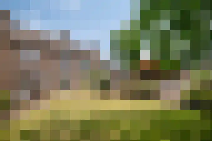 Irenestraat 29 Haps thumbnail 28