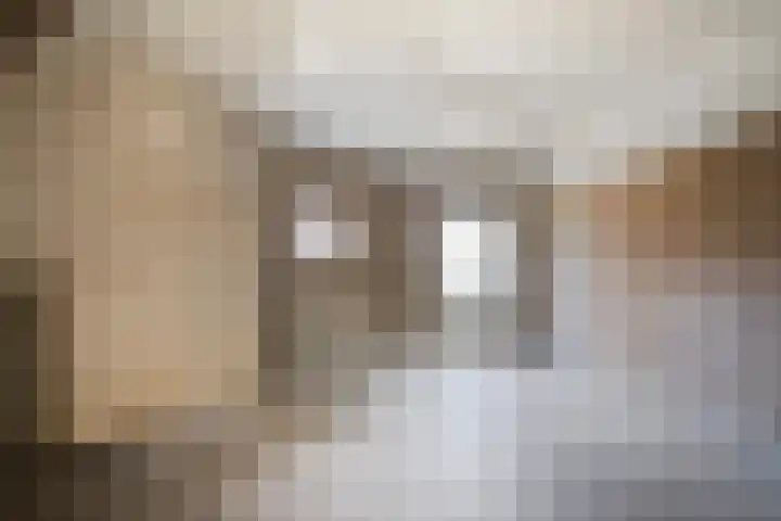 Irenestraat 29 Haps thumbnail 30