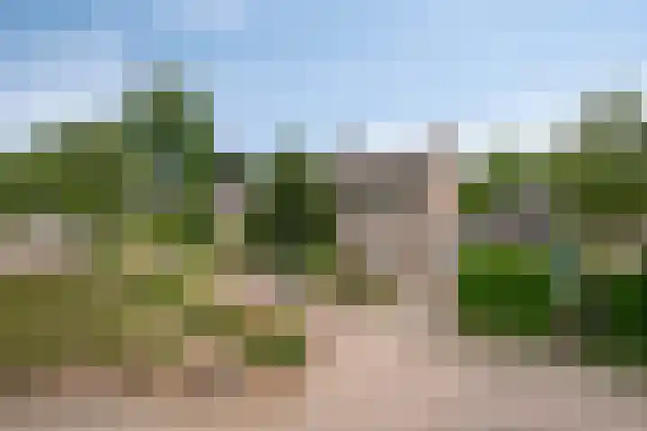 Irenestraat 29 Haps thumbnail 7