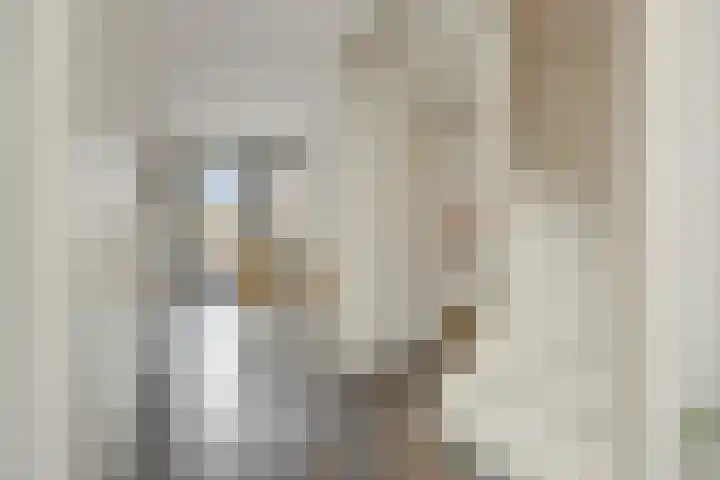 Irenestraat 42 Deurne thumbnail 13