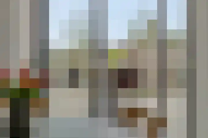 Irenestraat 42 Deurne thumbnail 17