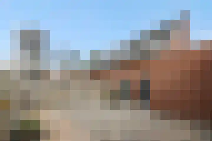 Irenestraat 42 Deurne thumbnail 30