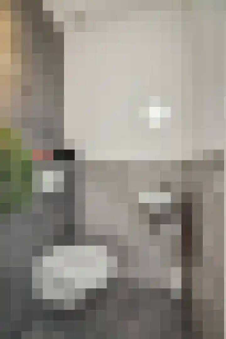 Irenestraat 42 Deurne thumbnail 9