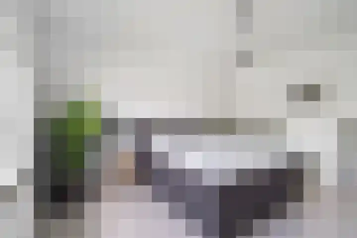 Irenestraat 6 Breda thumbnail 33