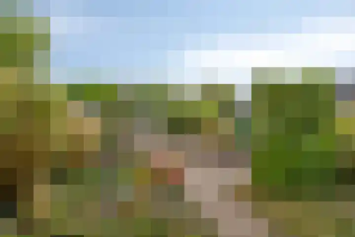 Iris 13 Oosterwolde thumbnail 32