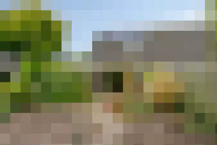 Iris 13 Oosterwolde thumbnail 33