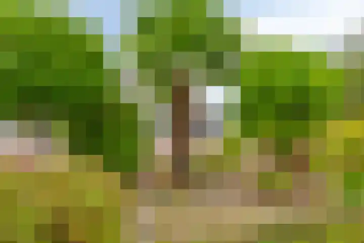 Iris 13 Oosterwolde thumbnail 37