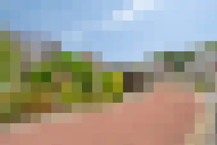Iris 13 Oosterwolde thumbnail 38