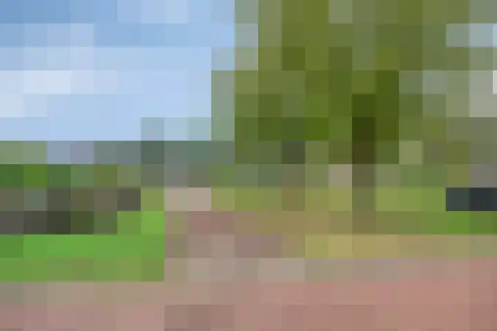 Iris 13 Oosterwolde thumbnail 41