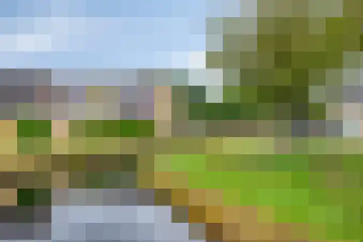 Iris 13 Oosterwolde thumbnail 43