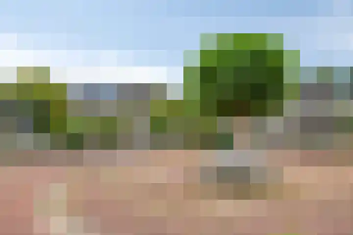 Iris 13 Oosterwolde thumbnail 44