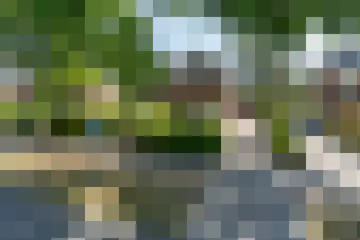 Foto van Iris Scholing