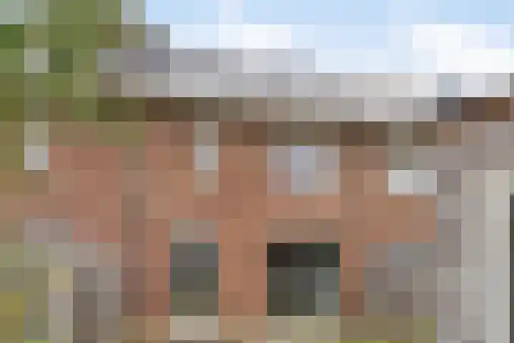 Irislaan 29 Eindhoven thumbnail 26