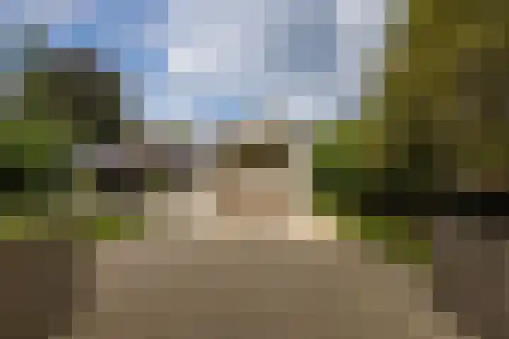 Irislaan 6 Leende