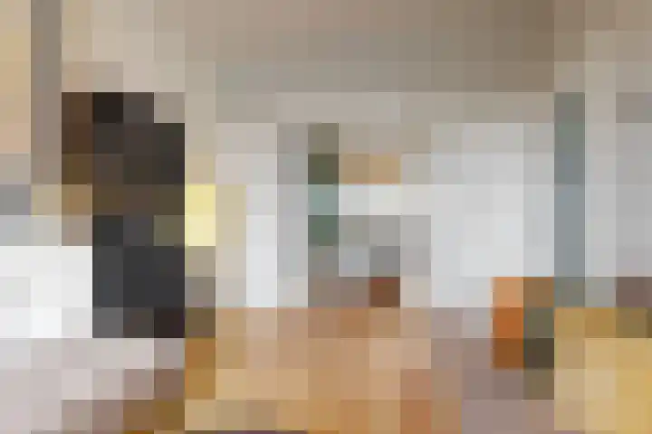 Irisplein 19 Den Haag thumbnail 9