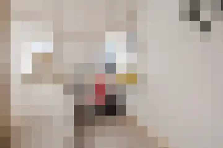 Irisplein 2 Noordwijk thumbnail 29