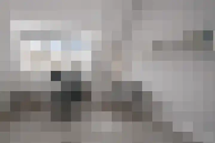 Irisplein 2 Noordwijk thumbnail 32