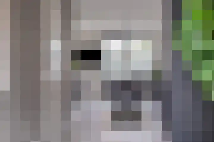 Irisstraat 109 Losser thumbnail 13