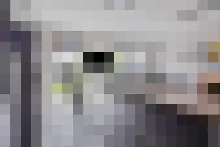 Irisstraat 109 Losser thumbnail 20