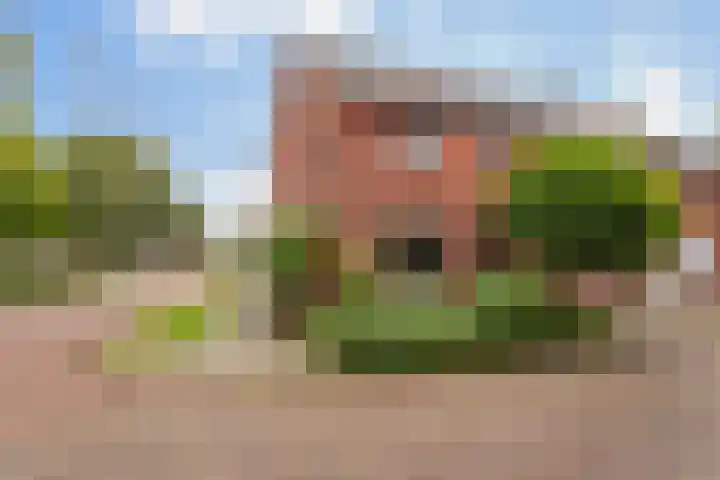 Irisstraat 22 Enschede thumbnail 10