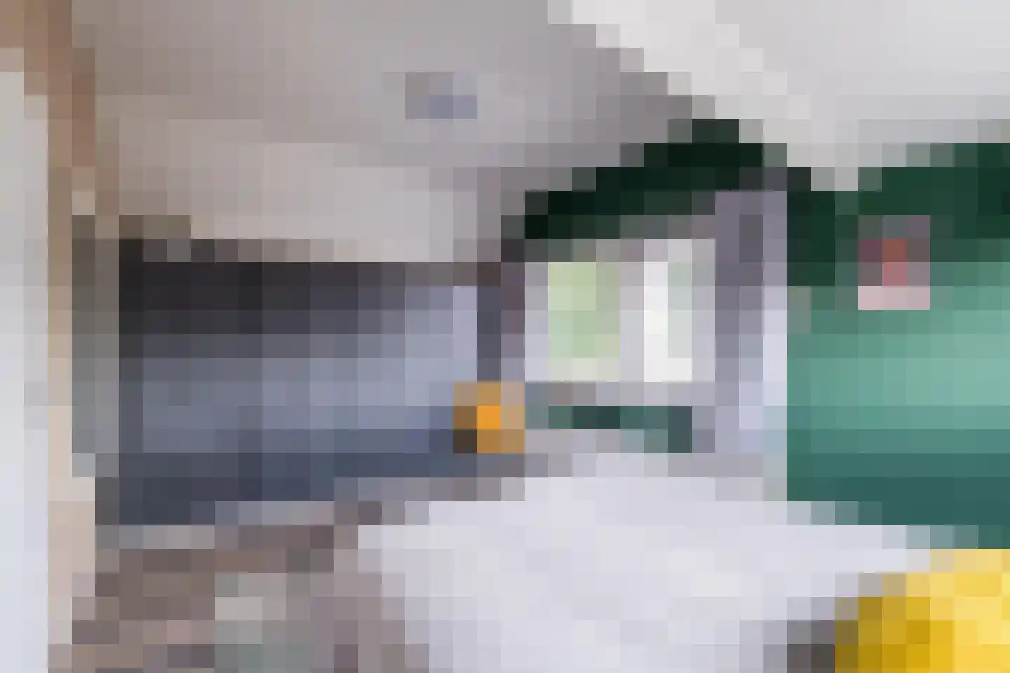 Irisstraat 28 Scheemda thumbnail 37