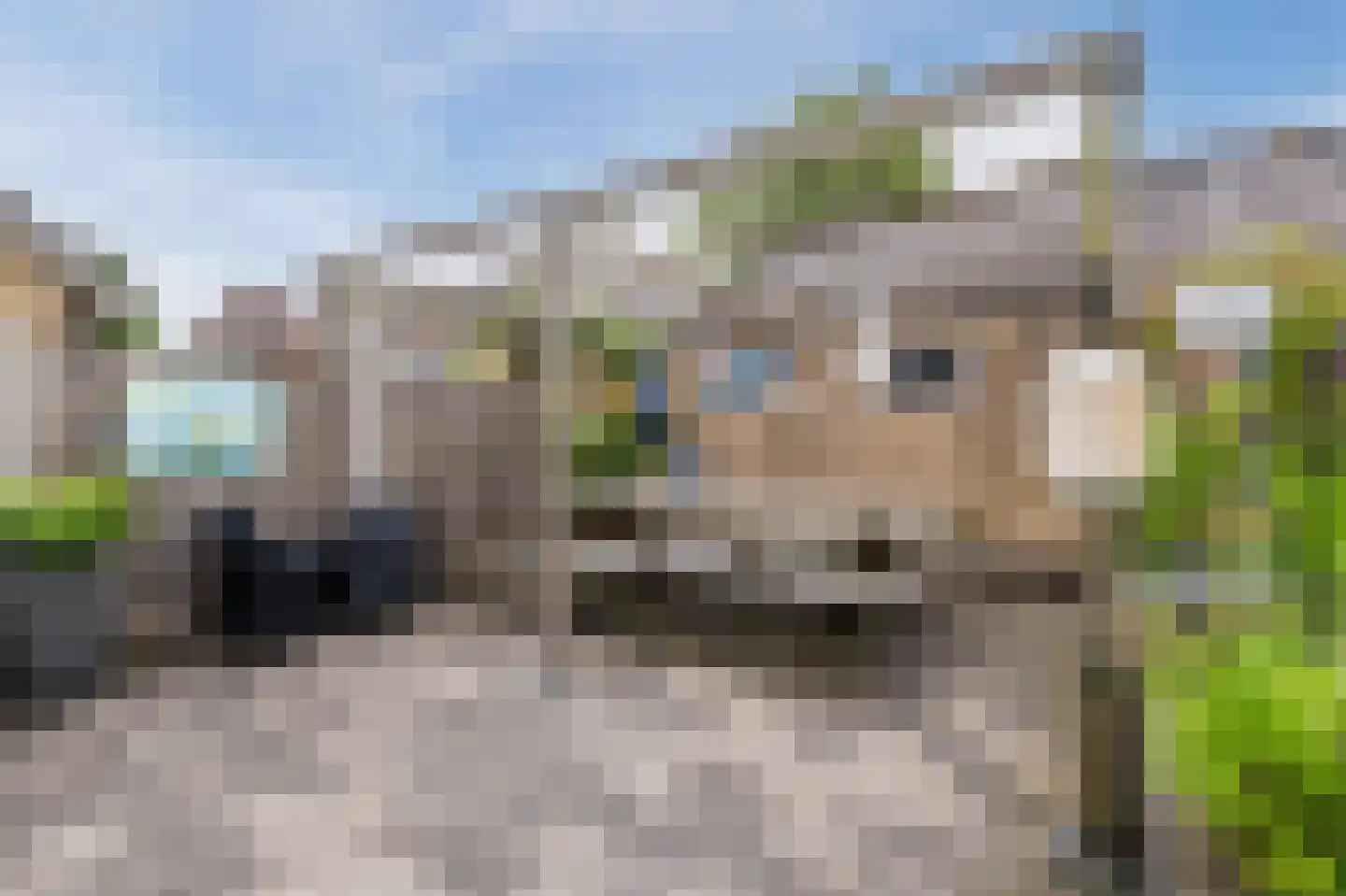 Irisstraat 28 Scheemda thumbnail 43