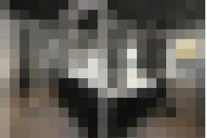Irisstraat 32 Almelo thumbnail 16