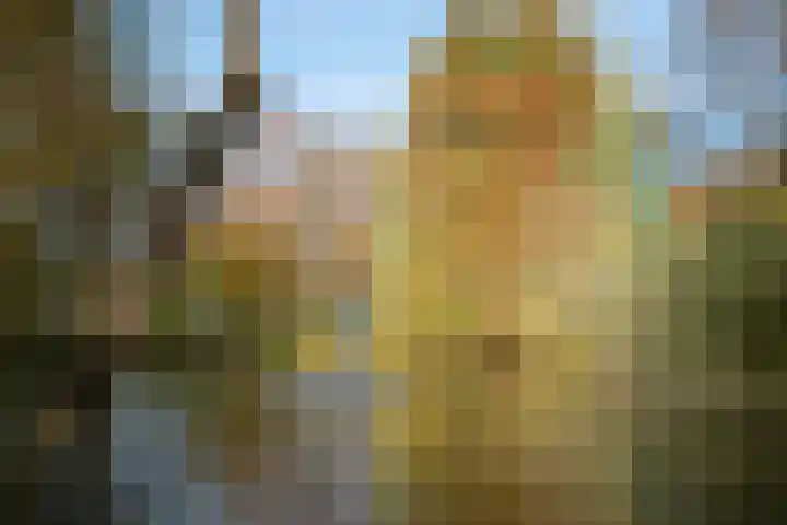 Irisstraat 32 Almelo thumbnail 27