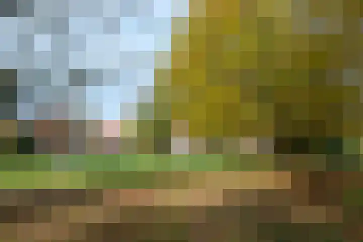 Irisstraat 32 Almelo thumbnail 30